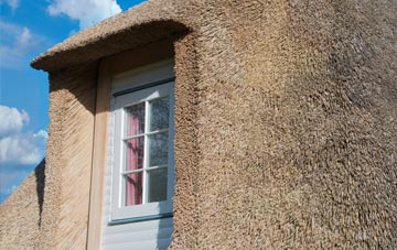 Meadgate thatch roof disadvantages
